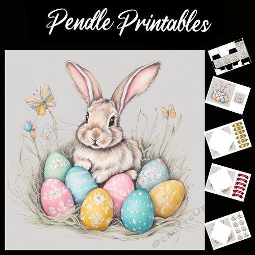 Cute Easter Bunny (29) 7x7 Card Kit. Matching Box, Gift Bauble,Tag