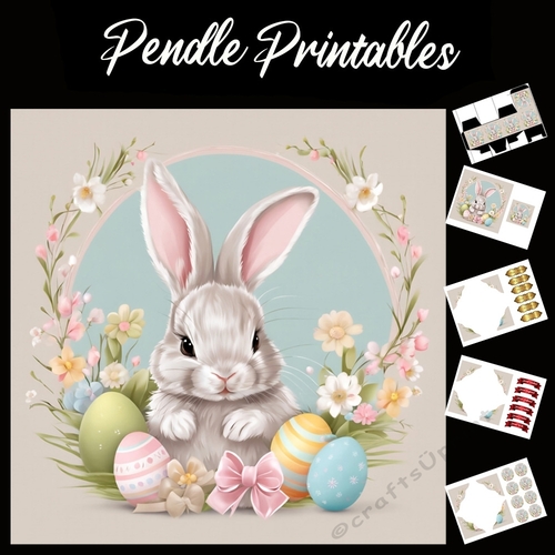 Cute Easter Bunny (39) 7x7 Card Kit. Matching Box, Gift Bauble,Tag
