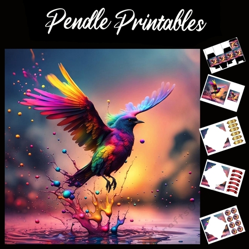 Splatter Art: Coloured Water Bird 7x7 Card Kit. Matching Box, Gift Bauble,Tag