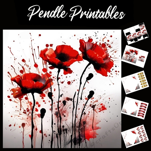 Splatter Art: Painted Poppies 7x7 Card Kit. Matching Box, Gift Bauble,Tag