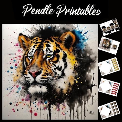 Splatter Art: Tigers Face 7x7 Card Kit. Matching Box, Gift Bauble,Tag