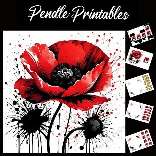 Splatter Art: Poppy 7x7 Card Kit. Matching Box, Gift Bauble,Tag