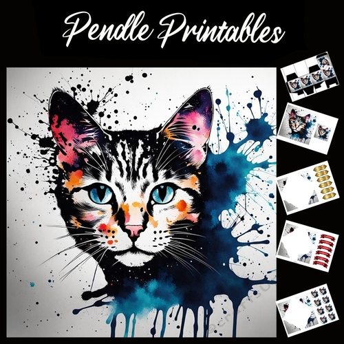 Splatter Art: The Cat 7x7 Card Kit. Matching Box, Gift Bauble,Tag