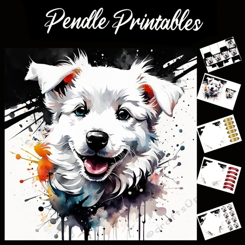 Splatter Art: The Puppy 7x7 Card Kit. Matching Box, Gift Bauble,Tag