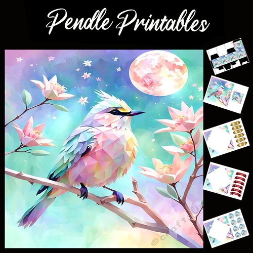 The Diamond Bird 7x7 Card Kit. Matching Box, Gift Bauble,Tag