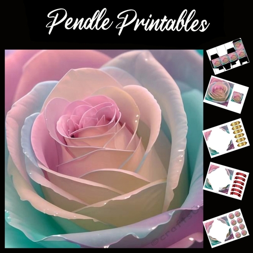 Candy Colour Rose 7x7 Card Kit. Matching Box, Gift Bauble,Tag