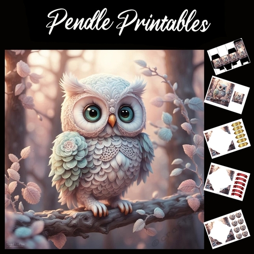 Fluffy Floral Hooter 7x7 Card Kit. Matching Box, Gift Bauble,Tag