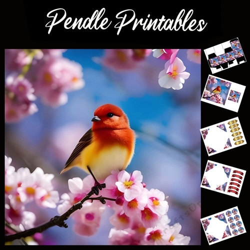 Cherry Blossom Bird (2) 7x7 Card Kit. Matching Box, Gift Bauble,Tag