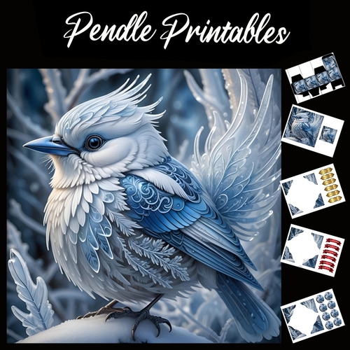 Beautiful Snow Bird 7x7 Card Kit. Matching Box, Gift Bauble,Tag
