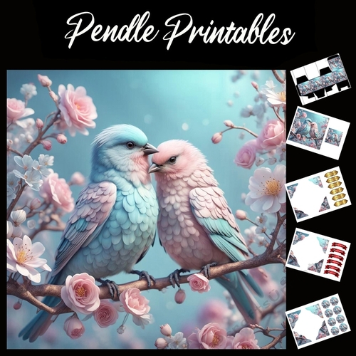 Beautiful Fluffy Love Birds 7x7 Card Kit. Matching Box, Gift Bauble,Tag