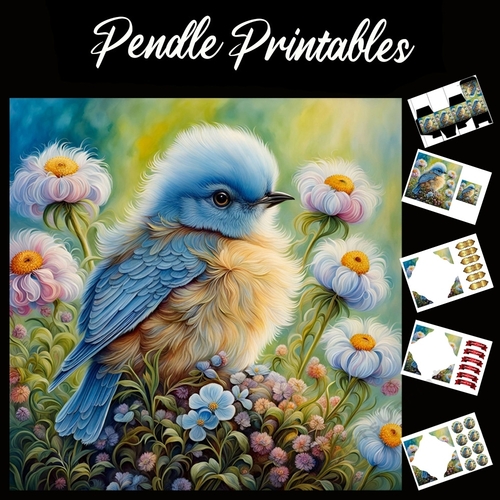 Beautiful Fluffy Chick 7x7 Card Kit. Matching Box, Gift Bauble,Tag