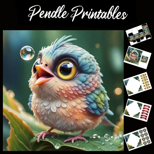 Cute Bubble Bird 7x7 Card Kit. Matching Box, Gift Bauble,Tag