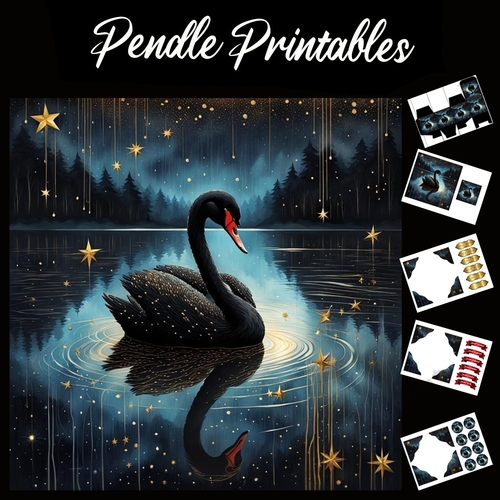 The Black Swan 7x7 Card Kit. Matching Box, Gift Bauble,Tag
