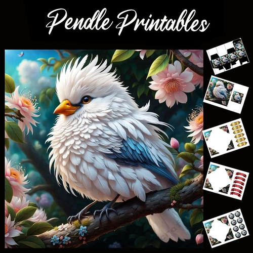 Cute White Fluffy Bird 7x7 Card Kit. Matching Box, Gift Bauble,Tag