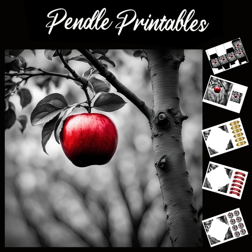 The Red Apple 7x7 Card Kit. Matching Box, Gift Bauble,Tag