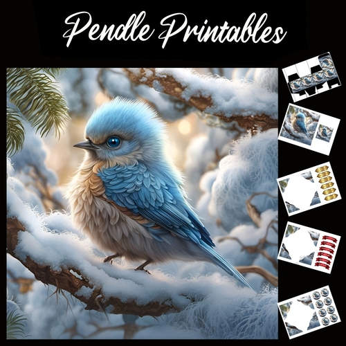 Ice Blue Bird 7x7 Card Kit. Matching Box, Gift Bauble,Tag