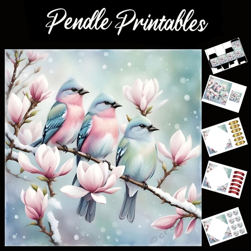 The Chirpy Three 7x7 Card Kit. Matching Box, Gift Bauble,Tag