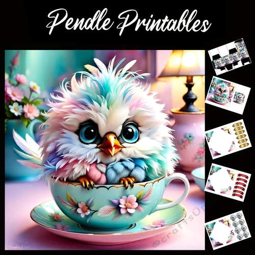 Fluffy Chick Treacup 7x7 Card Kit. Matching Box, Gift Bauble,Tag