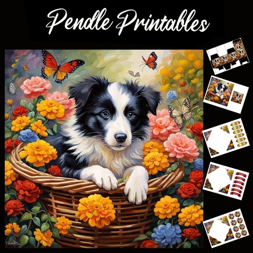 Basketful Of Collie 7x7 Card Kit. Matching Box, Gift Bauble,Tag