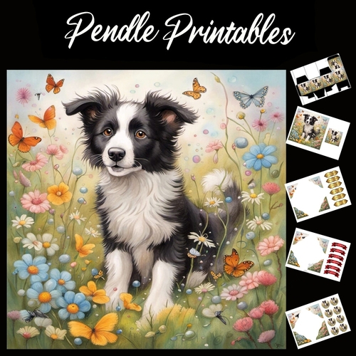 Meadow Collie 7x7 Card Kit. Matching Box, Gift Bauble,Tag