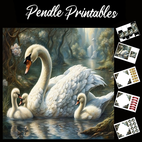 Swan & Cygnets 7x7 Card Kit. Matching Box, Gift Bauble,Tag
