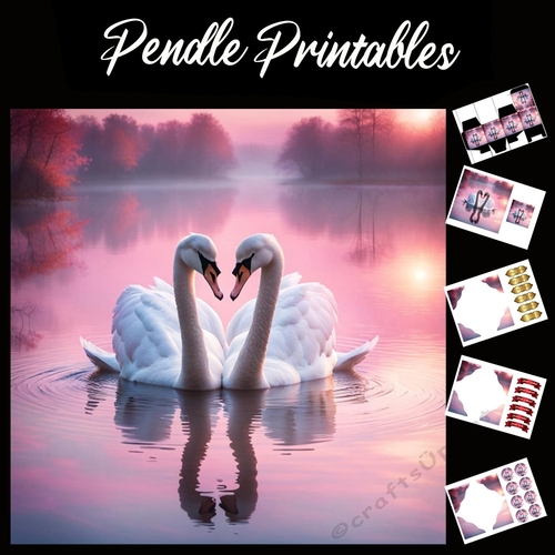 Love Swans 7x7 Card Kit. Matching Box, Gift Bauble,Tag