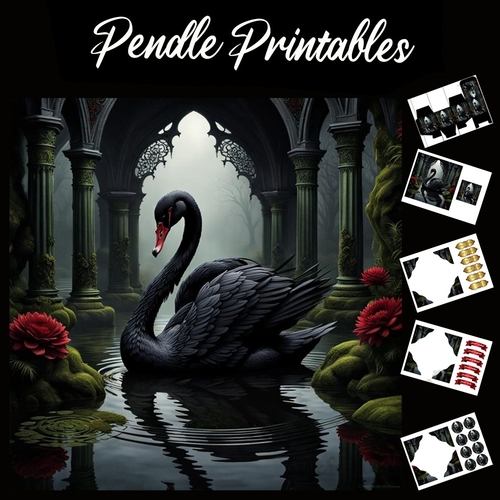Beautiful Black Swan 7x7 Card Kit. Matching Box, Gift Bauble,Tag