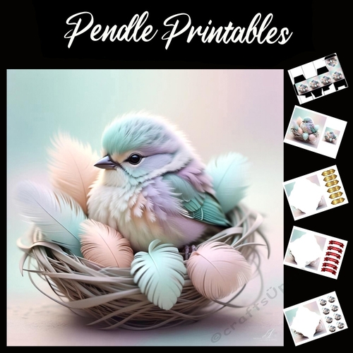 The Cute Chicks Home 7x7 Card Kit. Matching Box, Gift Bauble,Tag