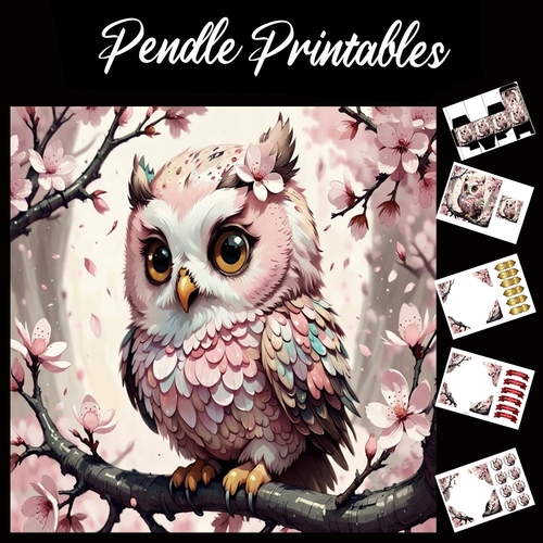 Pink Cute Owl 7x7 Card Kit. Matching Box, Gift Bauble,Tag