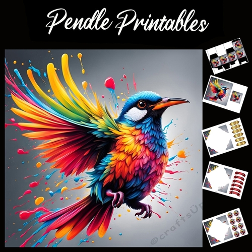 Splatter Art: Bright Bird 7x7 Card Kit. Matching Box, Gift Bauble,Tag