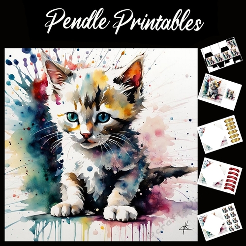 Splatter Art: Pretty Kitten 7x7 Card Kit. Matching Box, Gift Bauble,Tag