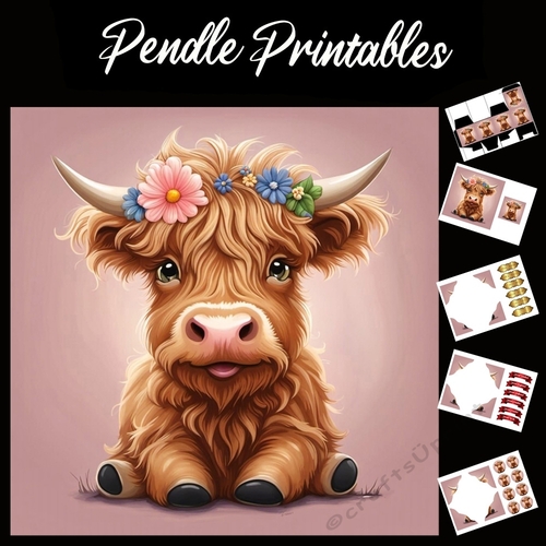 Flower Girl Highland Calf (2) 7x7 Card Kit. Matching Box, Gift Bauble,Tag