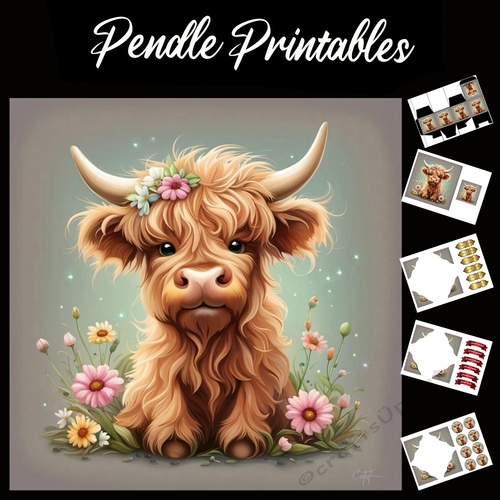 Flower Girl Highland Calf (4) 7x7 Card Kit. Matching Box, Gift Bauble,Tag