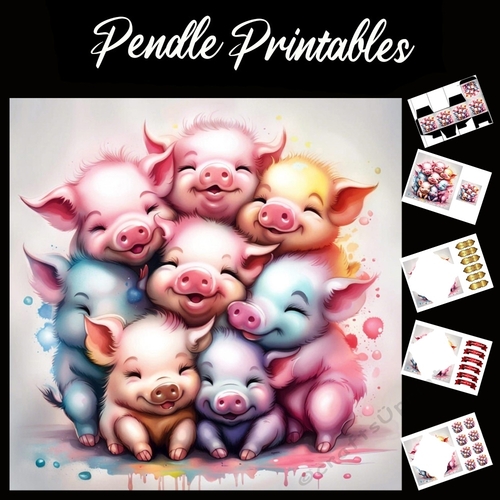 Piglets Party 7x7 Card Kit. Matching Box, Gift Bauble,Tag