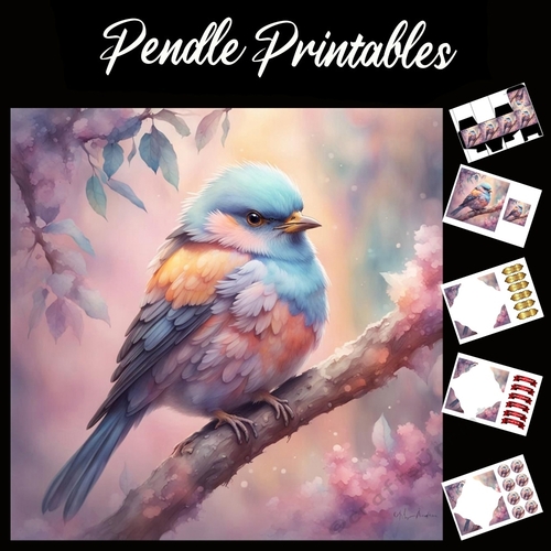 Beautiful Blosom Bird 7x7 Card Kit. Matching Box, Gift Bauble,Tag