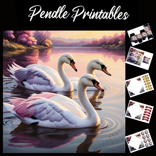 Three Swans Swimming 7x7 Card Kit. Matching Box, Gift Bauble,Tag