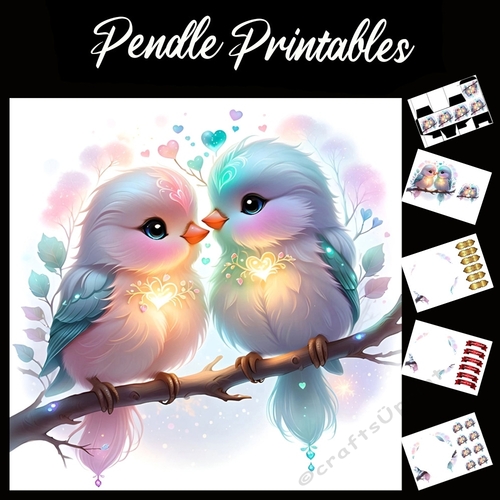 Two Love Birds 7x7 Card Kit. Matching Box, Gift Bauble,Tag