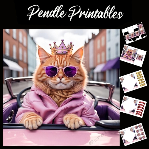 Pink Cat-Illac Queen 7x7 Card Kit. Matching Box, Gift Bauble,Tag