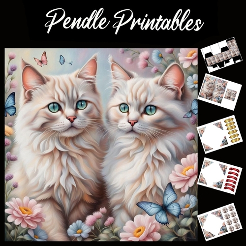 Double Trouble Cats 7x7 Card Kit. Matching Box, Gift Bauble,Tag