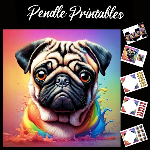 The Colourful Pug 7x7 Card Kit. Matching Box, Gift Bauble,Tag