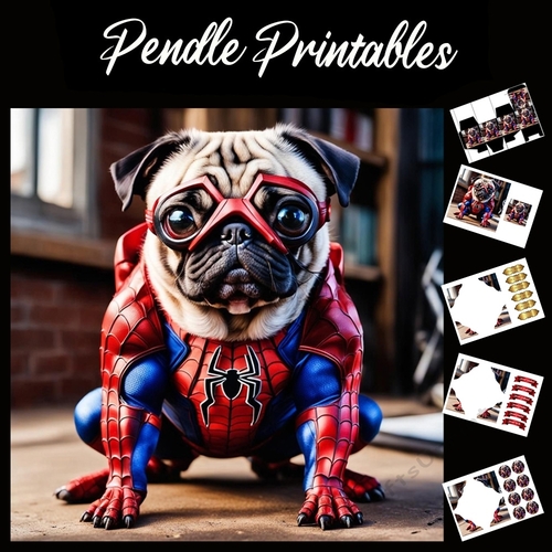 Spiderman Pug 7x7 Card Kit. Matching Box, Gift Bauble,Tag