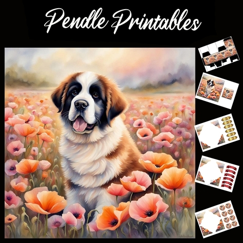 Beautiful St, Bernard 7x7 Card Kit. Matching Box, Gift Bauble,Tag