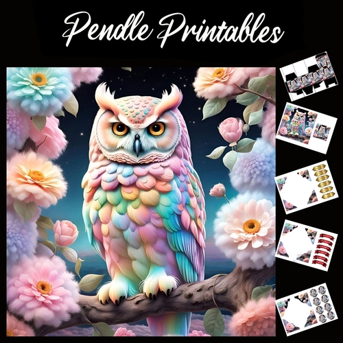 Candyfloss Fluffy Owl 7x7 Card Kit. Matching Box, Gift Bauble,Tag