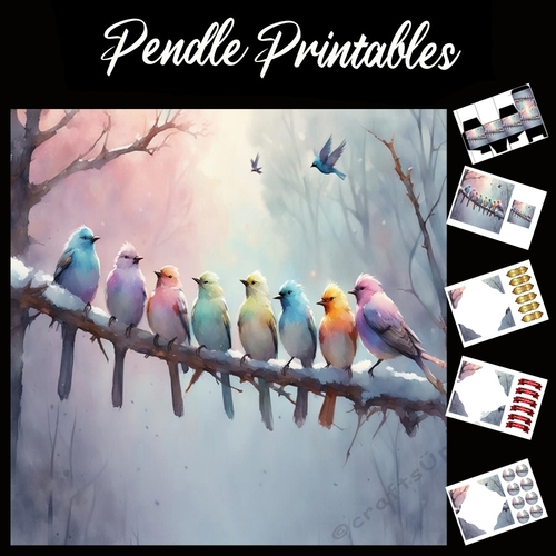 The Tweeters 7x7 Card Kit. Matching Box, Gift Bauble,Tag