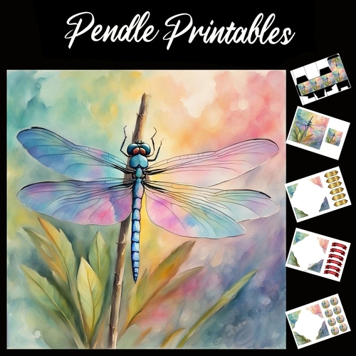 The Dragonfly 7x7 Card Kit. Matching Box, Gift Bauble,Tag