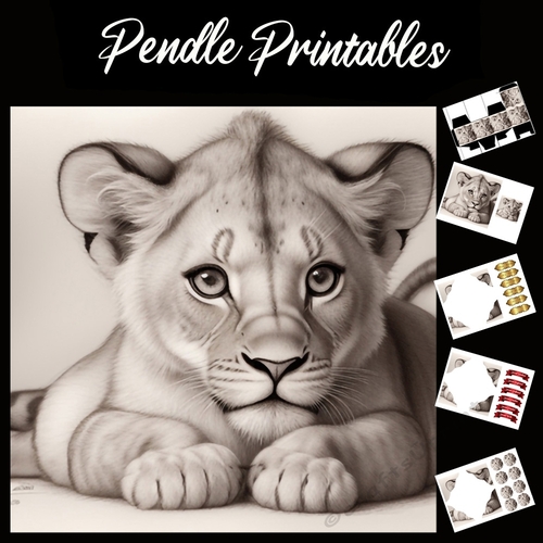 Lion Cub 7x7 Card Kit. Matching Box, Gift Bauble,Tag