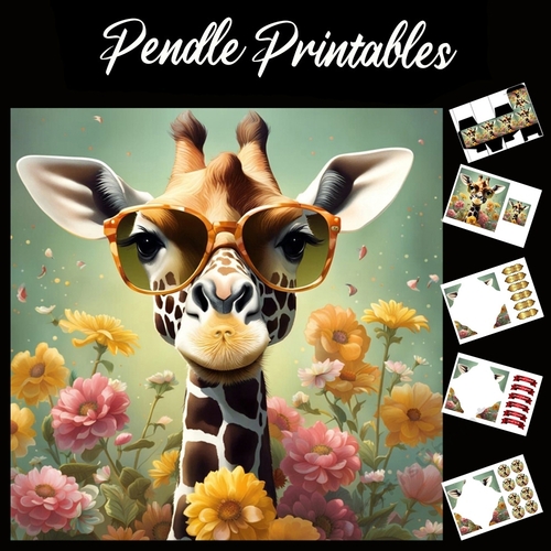 2 Cool Giraffe 7x7 Card Kit. Matching Box, Gift Bauble,Tag
