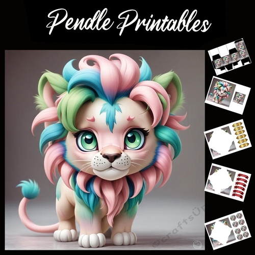 The Fun Lion 7x7 Card Kit. Matching Box, Gift Bauble,Tag