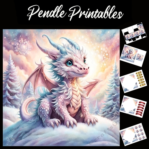 Anime Style Cute Pink Dragon 7x7 Card Kit. Matching Box, Gift Bauble,Tag