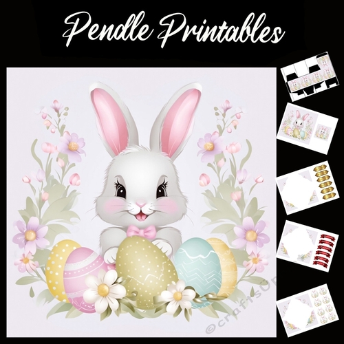 Cute Easter Bunny Rabbit 115 7x7 Card Kit. Matching Box, Gift Bauble,Tag